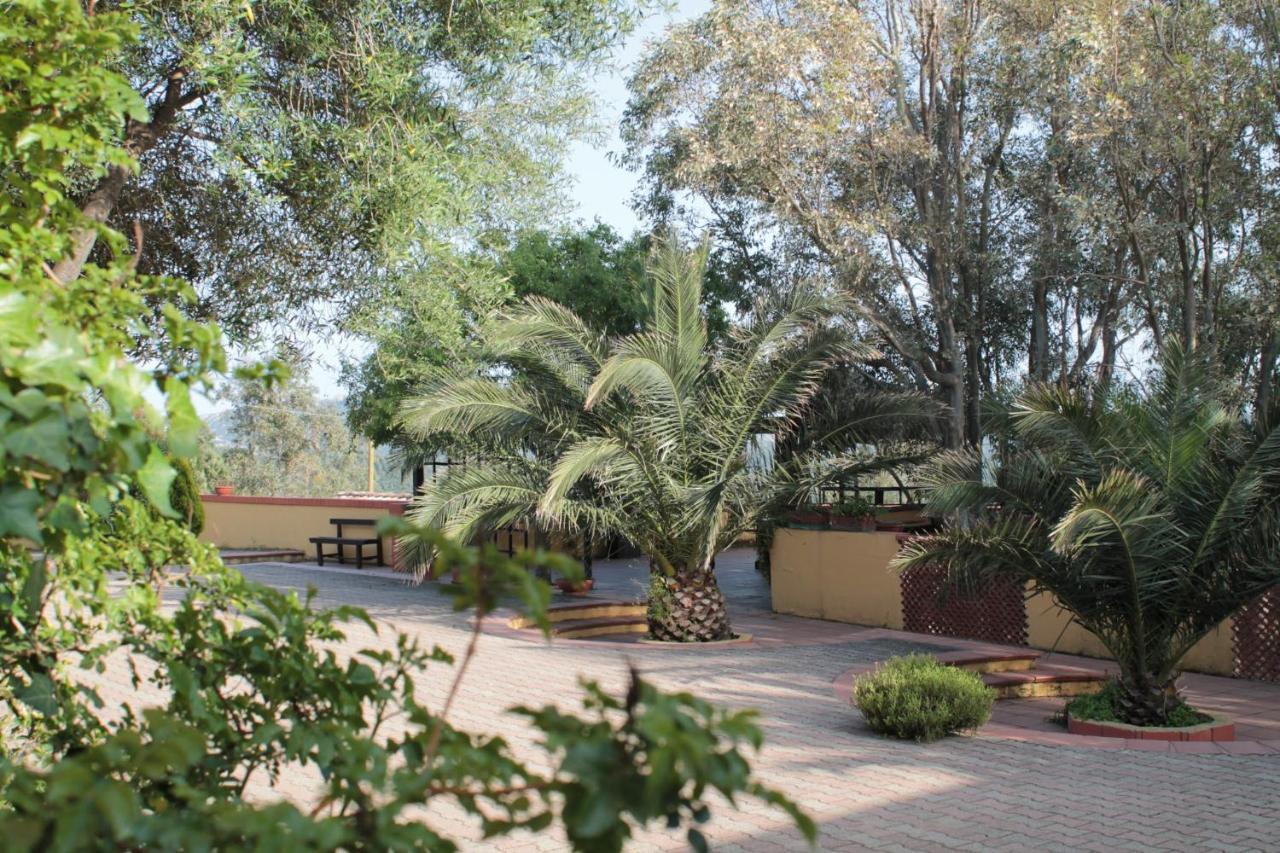 Agriturismo E Antica Fattoria Matteu Bed & Breakfast Teulada Dış mekan fotoğraf